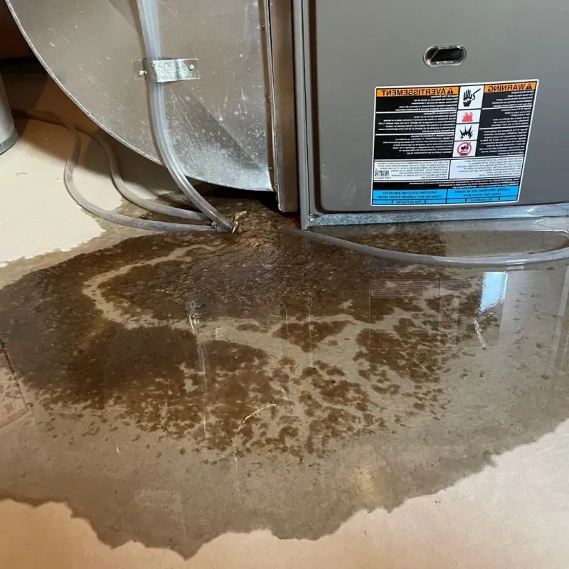 Pipe Burst and Leak Restoration in Topsfield, MA